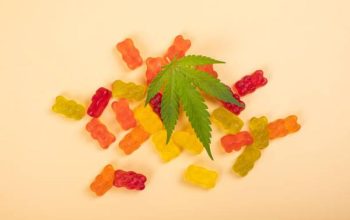 Store Board CBD Gummies Where Quality Meets Affordability